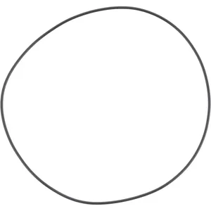 Spicer O RING 503040 