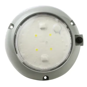 Grote Dome Lamp - 12V 234846 