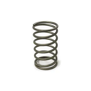 Access Truck Parts VALVE SPRING 2323769 