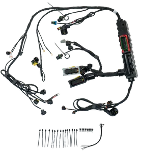 Roadwarrior Engine Wire Harness 5572590 