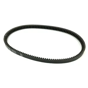 Dayco Accessory Drive Belt 261020 