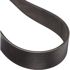 Gates 12 RIB 958380 