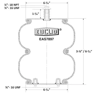 Euclid Air Spring 6351224 