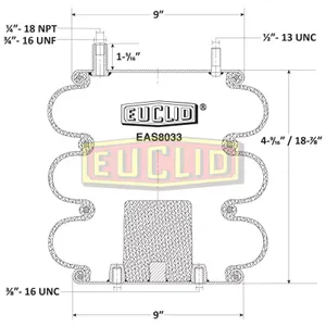Euclid Air Spring 6350356 