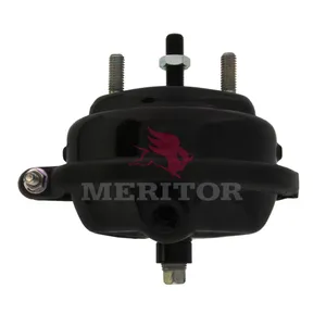 Meritor Ay-Chamber 754206 