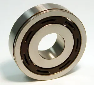 SKF Bearing 1793158 