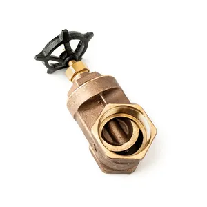 Access Truck Parts Gate Valve - 2 2323610 