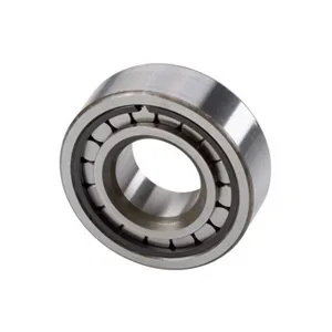 National Cylindrical Bearing 2836502 
