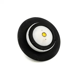 Access Truck Parts CLA Style Valve Repair Kit - 2.5 2322757 