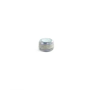 Eaton Plug - Pipe 259680 