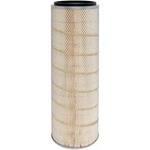 Baldwin Air Element 242002 