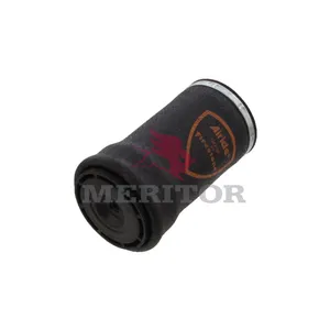 Firestone Air Spring 765306 