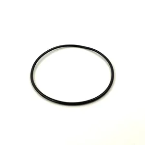 PAI O-Ring 255100 