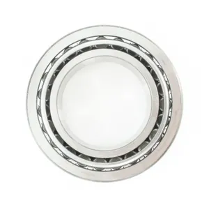 SKF Bearing Set 1789272 