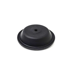 Access Truck Parts T-16 Diaphragm (Punched) 2323710 