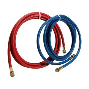 Robinair/Bosch REPLACEMENT HOS 1297360 