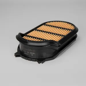 Donaldson AIR SFTY PC 2997744 