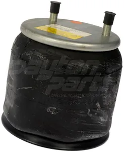 Dayton AIR SPRING 324246 