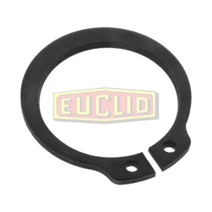 Euclid Ring 319698 