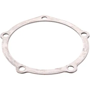 Spicer DIFF SHIM KIT 421934 