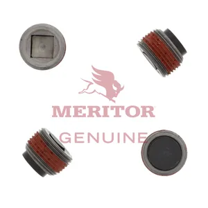 Meritor Fill Plug/Magne 219960 
