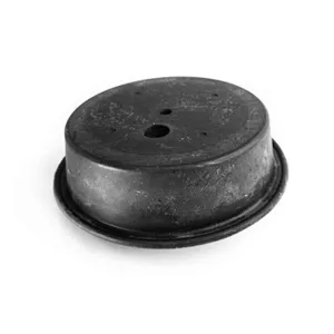 Access Truck Parts Hand Primer Diaphragm - DP5 Diaphragm 2322643 