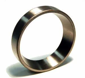 SKF Bearing Race 1789198 