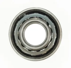 SKF Bearing 1796004 