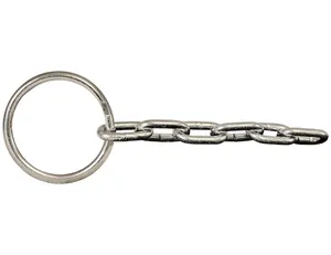 Buyers Products RING AND CHAIN W 5 LINKS SS 1575000 