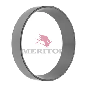 Meritor Std Whl Bg Cone 2717925 