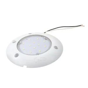 Grote Dome/Interior 2241241 