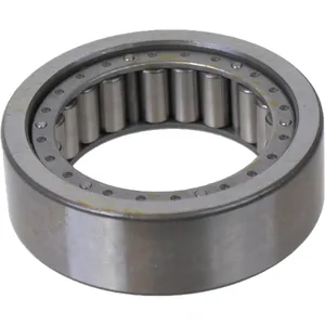 SKF Bearing 1794842 