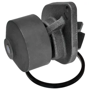 Bostech Water Pump 4300034 