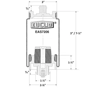 Euclid Air Spring 6350374 