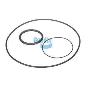 Bendix O RING KIT 425746 