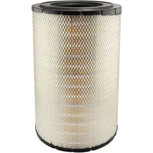 Baldwin FILTER 1193060 