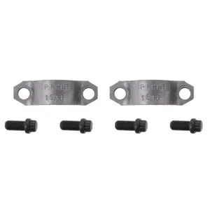 Spicer BRNG STRP 309884 