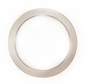 SKF Bearing Race 1167264 