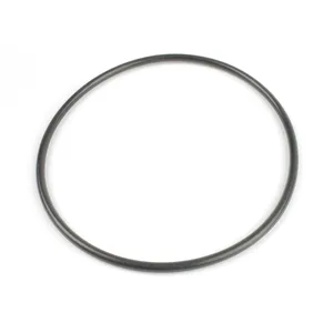 Spicer O RING 523698 