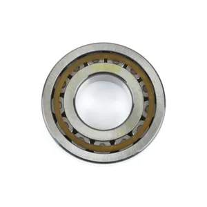 Spicer ROLLER BEARING 513902 
