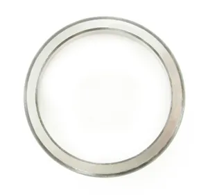 SKF Bearing Race 1783065 