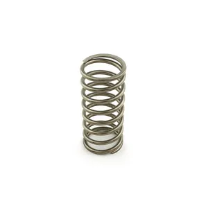 Access Truck Parts Inline Valve Spring - 2.5 2323810 