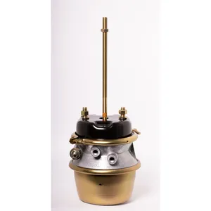 Armada Chamber Assembly - Spring And Service Brake 226830 