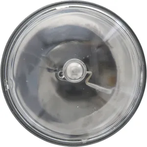 Lumileds Incandescent Se 328950 