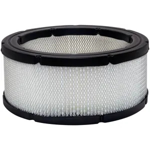 Baldwin Air Element 229278 