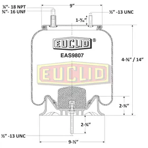 Euclid Air Spring 6351104 