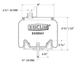 Euclid Air Spring 6350376 