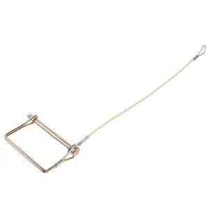 Holland PIN AND LANYARD 619422 