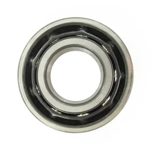 SKF Bearing 1781307 