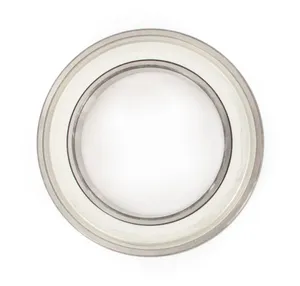 SKF Bearing 1790196 